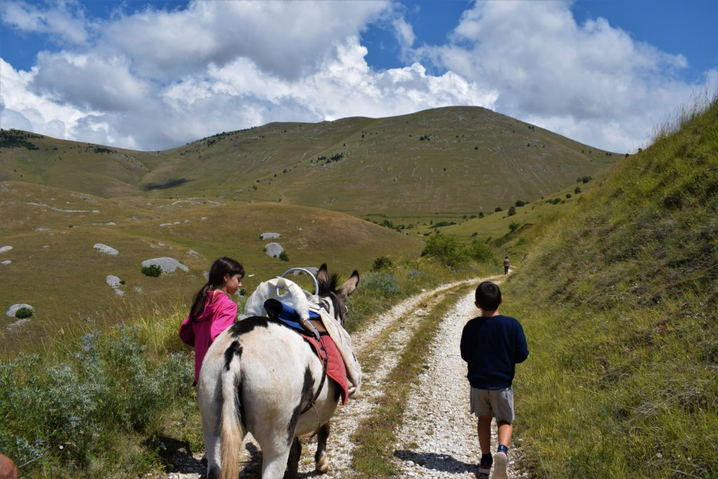 escursioni con asini Abruzzo
attività bambini Parco d’Abruzzo
Il Bel Sentiero Pescasseroli
trekking someggiato Abruzzo
sentiero con gli asini bambini
vacanze natura Abruzzo famiglie
cosa fare con i bambini Pescasseroli
escursioni family friendly Abruzzo