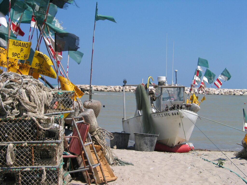 Bandiere Verdi 2025 Abruzzo
località balneari abruzzesi spiagge per bambini Abruzzo vacanze in Abruzzo con bambini mare per famiglie Abruzzo

Quali sono le spiagge Bandiera Verde 2025 in Abruzzo

Vacanze estive in Abruzzo per famiglie con bambini piccoli

Mare adatto ai bambini in Abruzzo estate 2025

Dove andare in Abruzzo con i figli al mare

Spiagge per bambini consigliate dai pediatri in Abruzzo

Litorale abruzzese ideale per vacanze in famiglia

Bandiera Verde differenza Bandiera Blu

Cosa fare con i bambini sulle spiagge d’Abruzzo