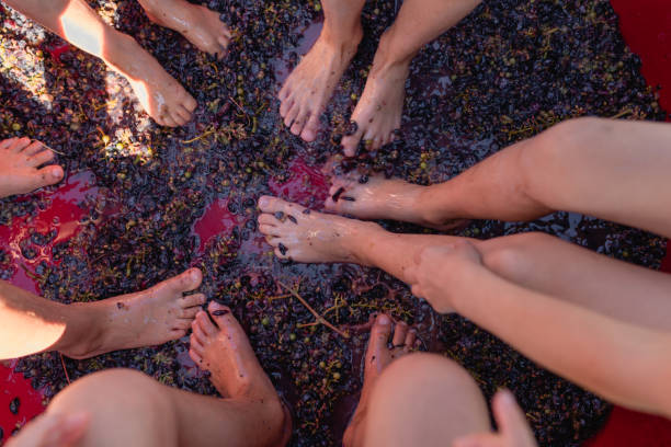 cosa fare a settembre in Abruzzo
Abruzzo a settembre
vacanze settembre Abruzzo
sagre settembre Abruzzo
eventi settembre Abruzzo
mare Abruzzo settembre
Abruzzo cosa vedere a settembre
escursioni settembre Abruzzo
Abruzzo borghi settembre
Abruzzo weekend settembre
Abruzzo enogastronomia settembre
Abruzzo con bambini settembre
Abruzzo tradizioni settembre
vendemmia Abruzzo settembre
viaggi settembre Abruzzo
turismo Abruzzo settembre
cosa visitare Abruzzo settembre
Abruzzo natura settembre
Abruzzo feste settembre
vacanze in Abruzzo settembre