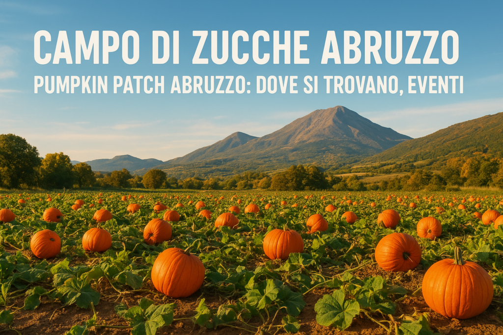 campo delle zucche Abruzzo
pumpkin patch Abruzzo 2025
zucche Abruzzo eventi
attività per bambini Abruzzo
weekend famiglia Abruzzo
campo di zucche vicino a me
pumpkin patch vicino a Pescara pumpkin patch per bambini
pumpkin patch
pumpkin patch abruzzo
eventi per bambini abruzz
dove intagliare la zucca in Abruzzo