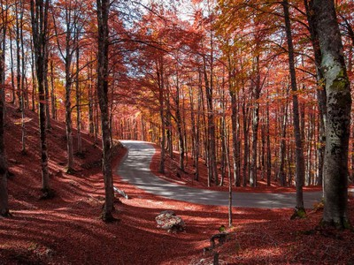 foliage in Abruzzo
foliage Abruzzo
Opi
Parco Nazionale d’Abruzzo, Lazio e Molise