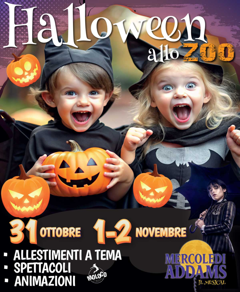 Abruzzo Halloween
Halloween Abruzzo
zoo d'abruzzo
halloween zoo d'abruzzo
halloween allo zoo
rocca san giovanni