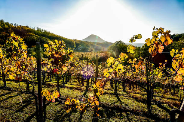 eventi abruzzo oggi
Abruzzo concerti weekend
Itinerari borghi abruzzesi ottobre
Feste popolari Abruzzo autunno
Sagre uva castagne Abruzzo