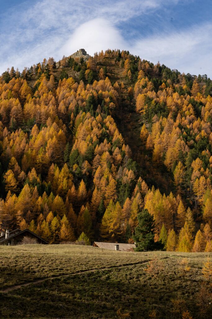dove vedere il foliage in Abruzzo
viaggi in Abruzzo con bambini novembre
cosa fare in Abruzzo se piove
mercatini d’autunno in Abruzzo
feste di paese Abruzzo novembre
Abruzzo da scoprire in autunno