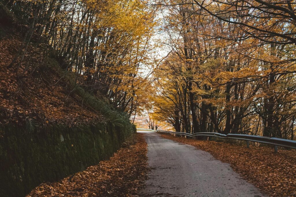 Eventi in Abruzzo ottobre 2025
Sagre in Abruzzo questo weekend
Cosa fare con i bambini in Abruzzo
Escursioni e borghi da visitare
Foliage e gite autunnali in Abruzzo
foliage abruzzo
autunno abruzzo